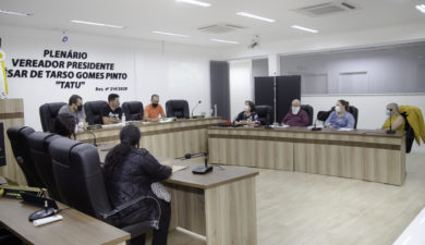 Retoma em 2022 o trabalho das comissões no processo legislativo