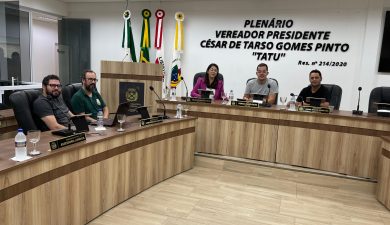 COMISSÕES PERMANENTES ANALISAM PROJETOS QUE PODERÃO IR PARA VOTAÇÃO EM PLENÁRIO