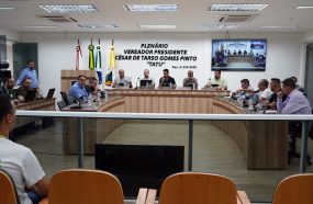 CÂMARA APROVA PROJETO DE INCENTIVO À ARTE URBANA