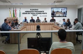 12ª REUNIÃO ORDINÁRIA APROVA PROJETOS DE SAÚDE, HABITAÇÃO E ASSISTÊNCIA SOCIAL
