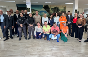 PROCURADORIA DA MULHER PROMOVE A CRIAÇÃO DE PLANO DE AÇÃO SOBRE O ENFRENTAMENTO À VIOLÊNCIA FEMININA