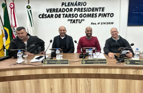 COMISSÕES PERMANENTES DEBATEM PROJETOS E TEMAS DE INTERESSE PÚBLICO