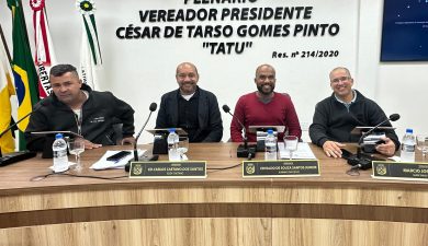 COMISSÕES PERMANENTES DEBATEM PROJETOS E TEMAS DE INTERESSE PÚBLICO