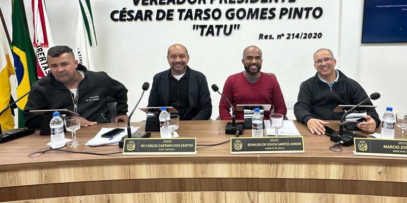 COMISSÕES PERMANENTES DEBATEM PROJETOS E TEMAS DE INTERESSE PÚBLICO