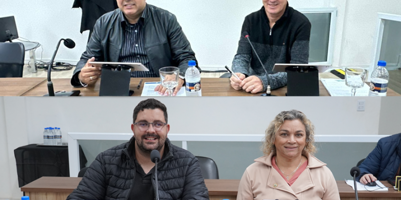 COMISSÕES PERMANENTES DISCUTEM PROJETOS PARA A SAÚDE E OS DIREITOS HUMANOS