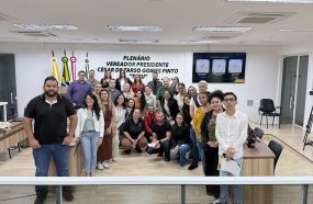 CÂMARA REALIZA DEBATE SOBRE SAÚDE MENTAL NO TRABALHO  E ADEQUAÇÕES DA NR1