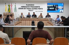 21ª REUNIÃO ORDINÁRIA APROVA 10 PROJETOS E 23 INDICAÇÕES 