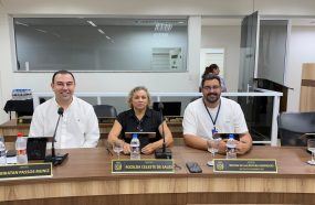 REUNIÕES DE COMISSÕES ANALISAM PROJETOS DE DIREITOS HUMANOS, SAÚDE E FUNCIONALISMO