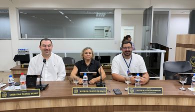REUNIÕES DE COMISSÕES ANALISAM PROJETOS DE DIREITOS HUMANOS, SAÚDE E FUNCIONALISMO