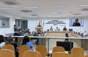 SEGUNDA AUDIÊNCIA PÚBLICA SOBRE O PPA ACONTECE NESTA QUINTA