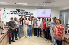 CÂMARA MAIS FALA DE TERAPIAS INTEGRATIVAS NO SÉTIMO ENCONTRO