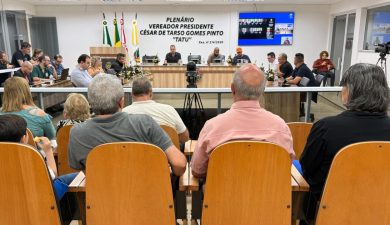 CULTURA É O ASSUNTO PRINCIPAL DA 29ª ORDINÁRIA