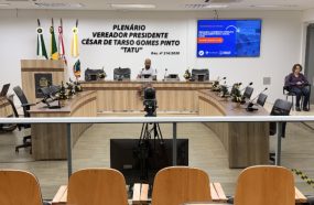 COMISSÃO DE FINANÇAS REALIZA 2ª AUDIÊNCIA DA LOA