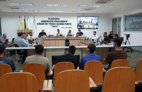 LEGISLATIVO DE  EXTREMA APRESENTA BALANÇO DA ATIVIDADE PARLAMENTAR EM 2025