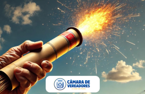 CÂMARA REFORÇA PREOCUPAÇÃO COM O USO DE FOGOS DE ARTIFÍCIO NAS FESTAS DE FIM DE ANO