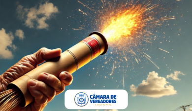 CÂMARA REFORÇA PREOCUPAÇÃO COM O USO DE FOGOS DE ARTIFÍCIO NAS FESTAS DE FIM DE ANO