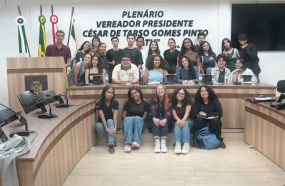 JOVENS VIVENCIAM DESAFIO DE DECISÃO POLÍTICA EM NOVO ENCONTRO DO PARLAMENTO JOVEM